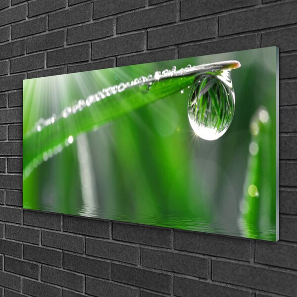 Skleneny obraz Kvapka rosa list tráva 100x50 cm 2 Prívesky