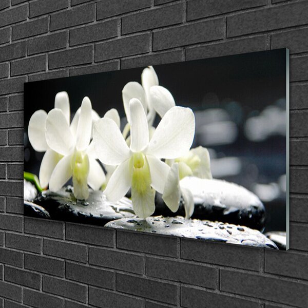 Skleneny obraz Kamene kvety orchidea 100x50 cm 2 Prívesky