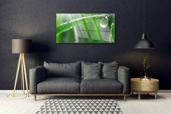 Skleneny obraz Kvapka rosa list tráva 100x50 cm 2 Prívesky