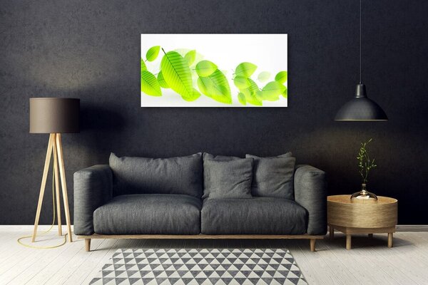 Skleneny obraz Listy kvety príroda 100x50 cm 2 Prívesky