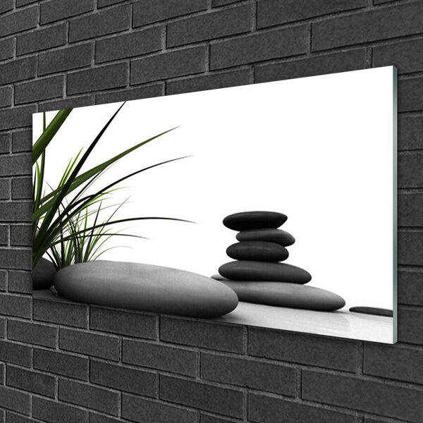 Skleneny obraz Kamene zen tráva 100x50 cm 2 Prívesky