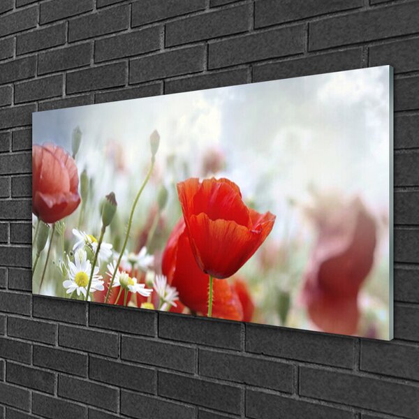 Skleneny obraz Kvety plátky rastlina 100x50 cm 2 Prívesky