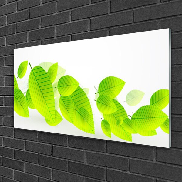 Skleneny obraz Listy kvety príroda 100x50 cm 2 Prívesky