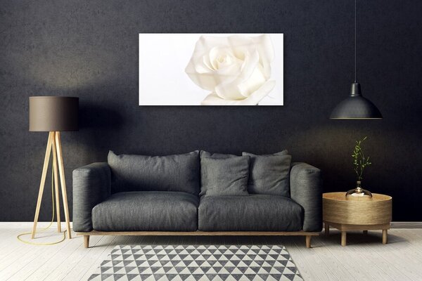 Skleneny obraz Ruže kvety 100x50 cm 2 Prívesky