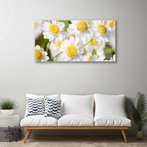 Skleneny obraz Kvety sedmokráska príroda 100x50 cm 2 Prívesky