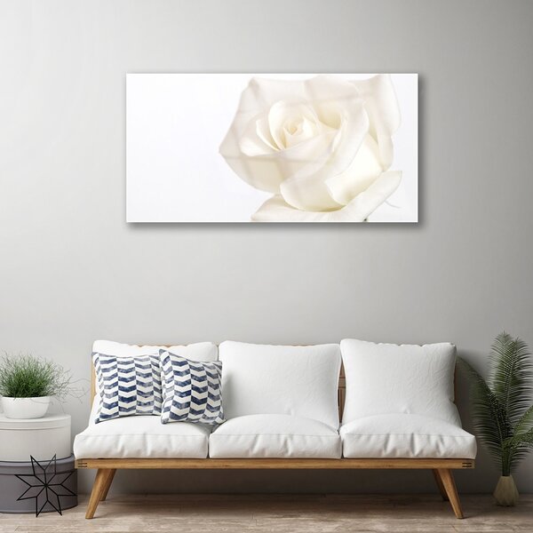 Skleneny obraz Ruže kvety 100x50 cm 2 Prívesky