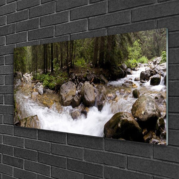 Skleneny obraz Les rieka vodopády 100x50 cm 2 Prívesky