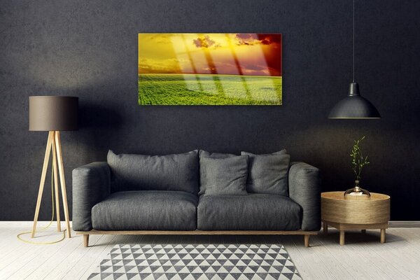Skleneny obraz Pole príroda 100x50 cm 2 Prívesky