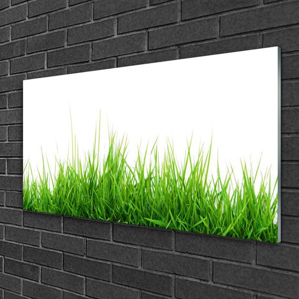 Skleneny obraz Tráva príroda rastlina 100x50 cm 2 Prívesky