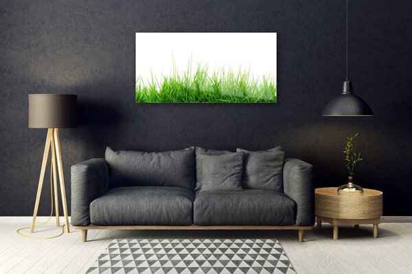 Skleneny obraz Tráva príroda rastlina 100x50 cm 2 Prívesky