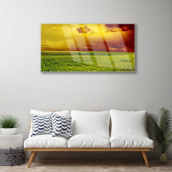 Skleneny obraz Pole príroda 100x50 cm 2 Prívesky