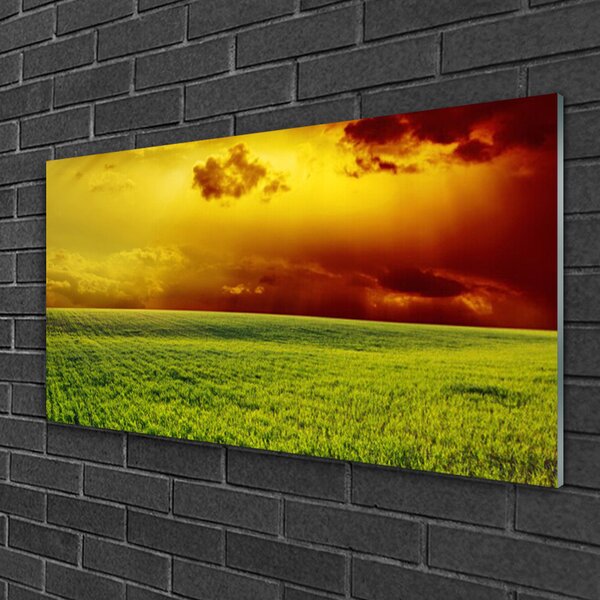 Skleneny obraz Pole príroda 100x50 cm 2 Prívesky