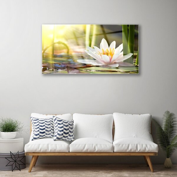 Skleneny obraz Kvet vodné lilie 100x50 cm 2 Prívesky