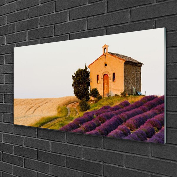 Skleneny obraz Pole príroda 100x50 cm 2 Prívesky