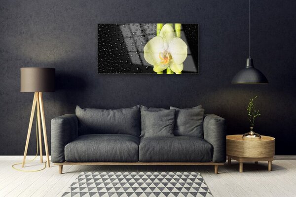 Skleneny obraz Bambus kvet orchidea 100x50 cm 2 Prívesky