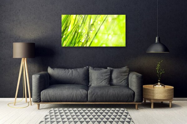 Skleneny obraz Príroda kvapky tráva 100x50 cm 2 Prívesky