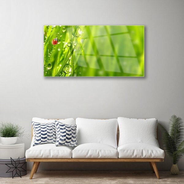 Skleneny obraz Tráva lienka príroda 100x50 cm 2 Prívesky