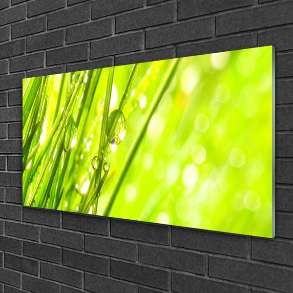 Skleneny obraz Príroda kvapky tráva 100x50 cm 2 Prívesky