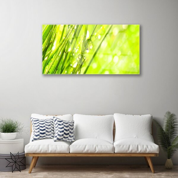 Skleneny obraz Príroda kvapky tráva 100x50 cm 2 Prívesky