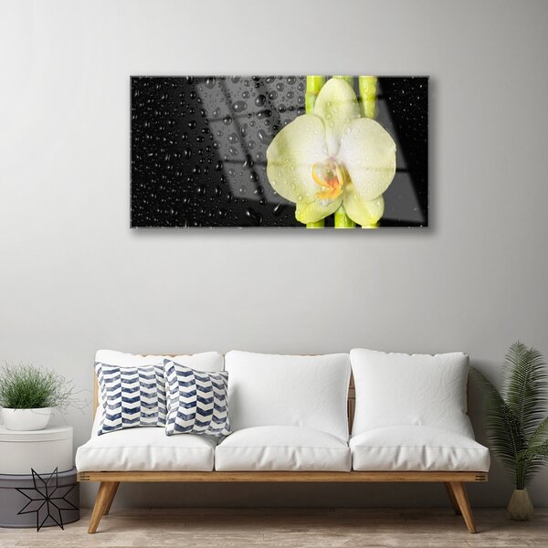 Skleneny obraz Bambus kvet orchidea 100x50 cm 2 Prívesky