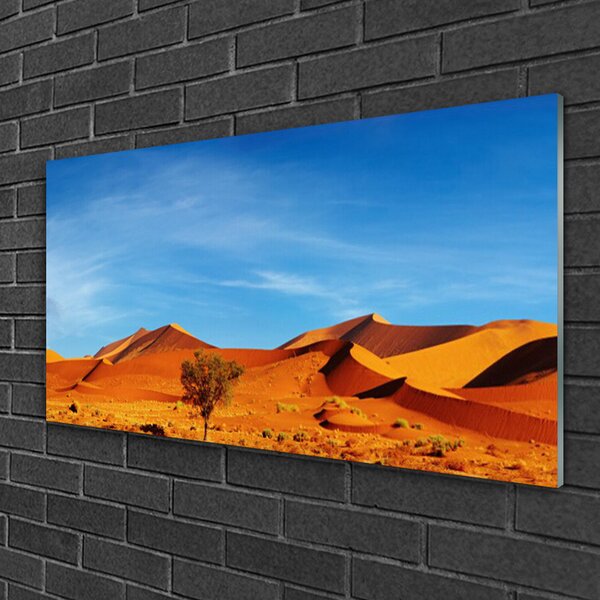 Skleneny obraz Púšť krajina 100x50 cm 2 Prívesky