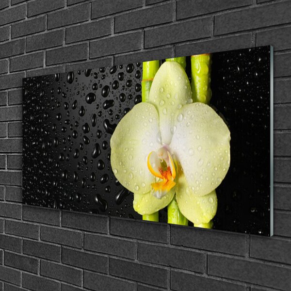 Skleneny obraz Bambus kvet orchidea 100x50 cm 2 Prívesky