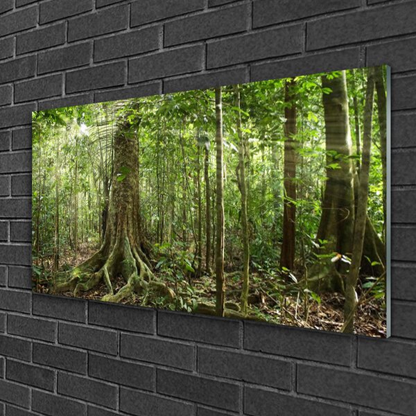 Skleneny obraz Les príroda džungle 100x50 cm 2 Prívesky