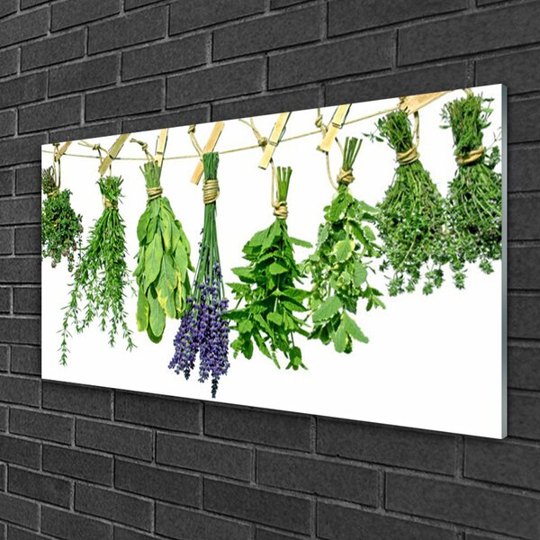 Skleneny obraz Plátky kvety byliny 100x50 cm 2 Prívesky