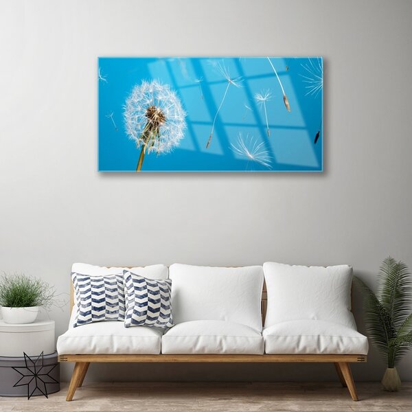 Skleneny obraz Púpavy kvety príroda 100x50 cm 2 Prívesky