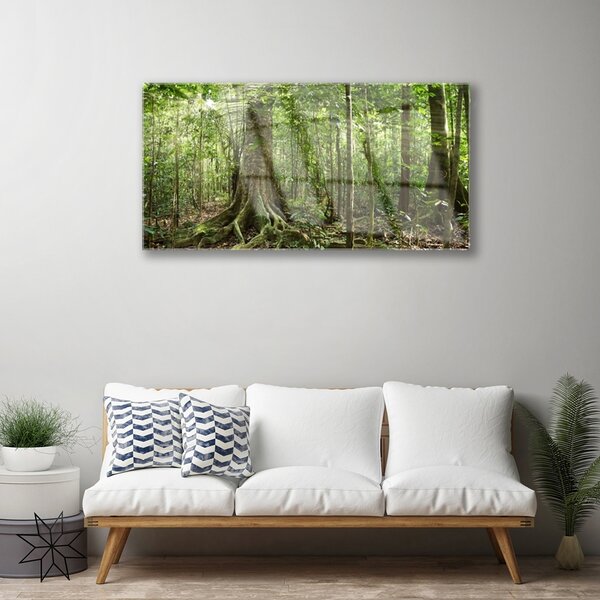 Skleneny obraz Les príroda džungle 100x50 cm 2 Prívesky