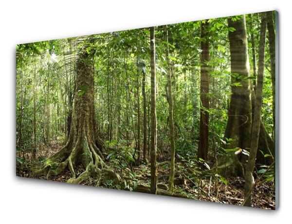 Sklenený obklad Do kuchyne Les príroda džungle 100x50 cm