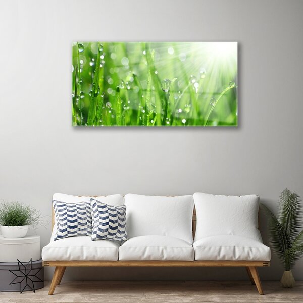 Skleneny obraz Príroda tráva kvapky 100x50 cm 2 Prívesky