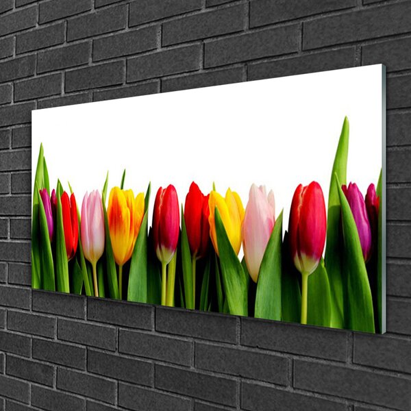 Obraz na skle Tulipány rastlina 100x50 cm 2 Prívesky