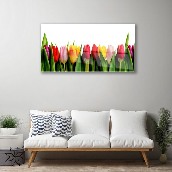 Obraz na skle Tulipány rastlina 100x50 cm 2 Prívesky
