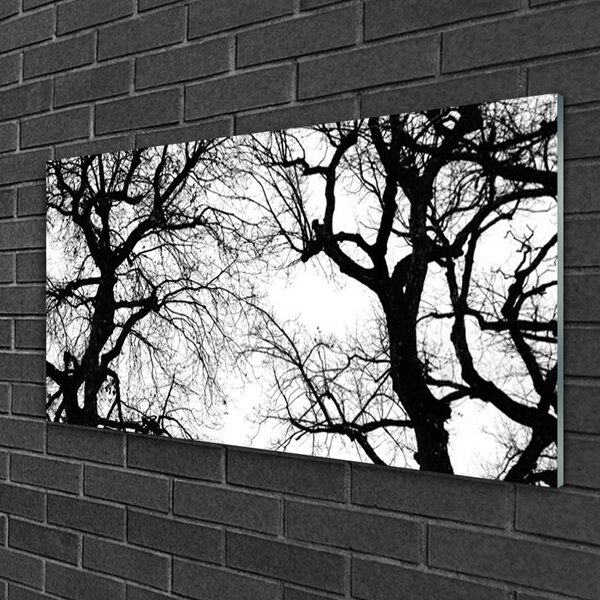 Skleneny obraz Stromy príroda čiernobiely 100x50 cm 2 Prívesky