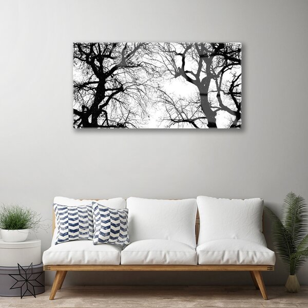 Skleneny obraz Stromy príroda čiernobiely 100x50 cm 2 Prívesky