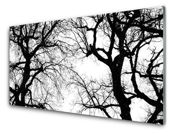 Sklenený obklad Do kuchyne Stromy príroda čiernobiely 120x60 cm