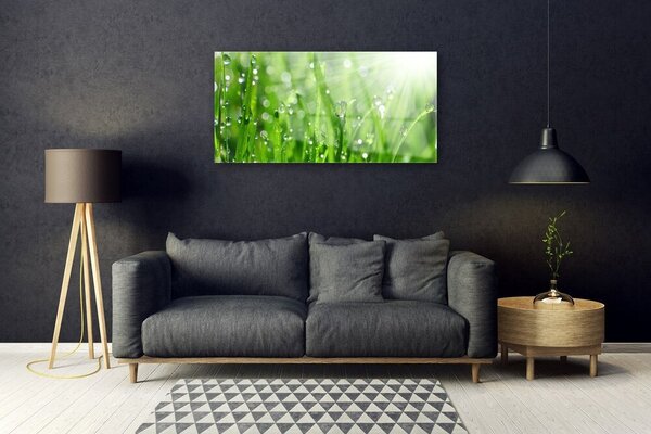 Skleneny obraz Príroda tráva kvapky 100x50 cm 2 Prívesky