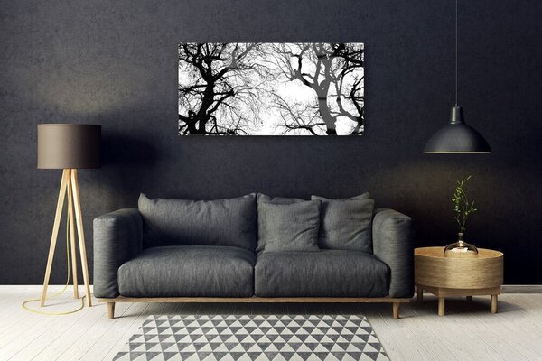 Skleneny obraz Stromy príroda čiernobiely 100x50 cm 2 Prívesky