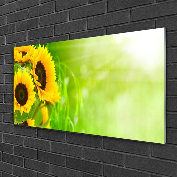 Obraz na skle Slnečnicami rastlina 100x50 cm 2 Prívesky
