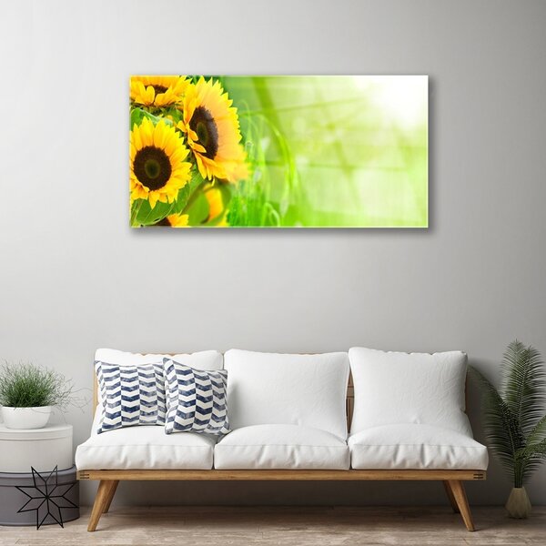 Obraz na skle Slnečnicami rastlina 100x50 cm 2 Prívesky