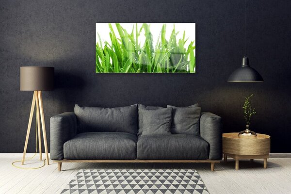 Obraz na skle Tráva rastlina 100x50 cm 2 Prívesky