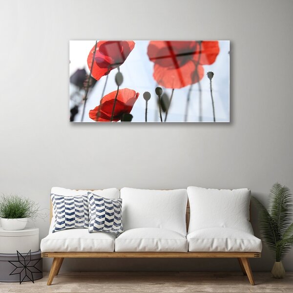 Obraz na skle Maky rastlina 100x50 cm 2 Prívesky