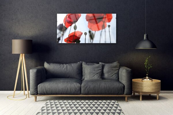 Obraz na skle Maky rastlina 100x50 cm 2 Prívesky