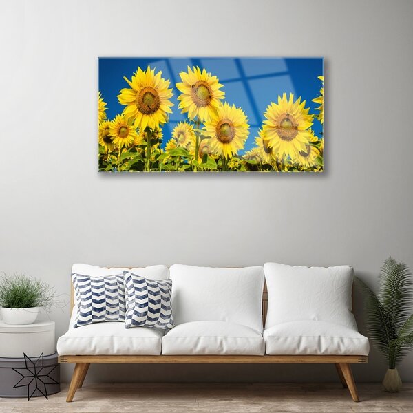 Obraz na skle Slnečnicami rastlina 100x50 cm 2 Prívesky