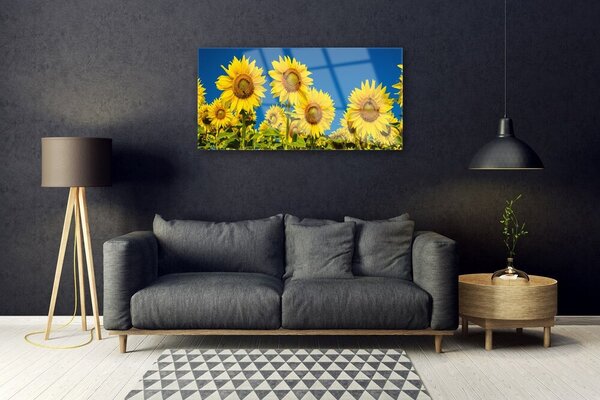 Obraz na skle Slnečnicami rastlina 100x50 cm 2 Prívesky