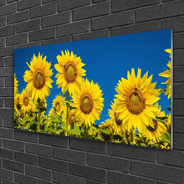 Obraz na skle Slnečnicami rastlina 100x50 cm 2 Prívesky