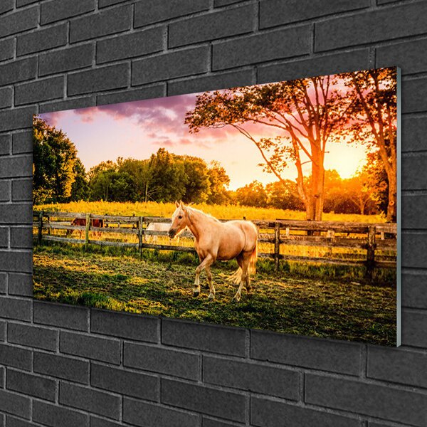 Obraz na skle Kôň lúka zvieratá 100x50 cm 2 Prívesky