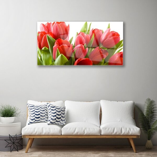 Obraz na skle Tulipány kvety rastlina 100x50 cm 2 Prívesky
