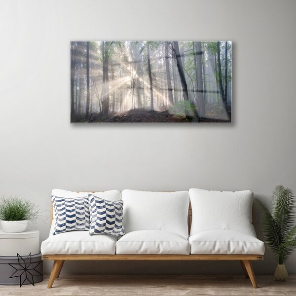 Obraz na skle Les príroda 100x50 cm 2 Prívesky